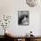 Cat on a Hot Tin Roof, 1958-null-Framed Photographic Print displayed on a wall