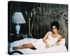 Cat on a Hot Tin Roof, Elizabeth Taylor-null-Stretched Canvas