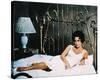 Cat on a Hot Tin Roof, Elizabeth Taylor-null-Stretched Canvas