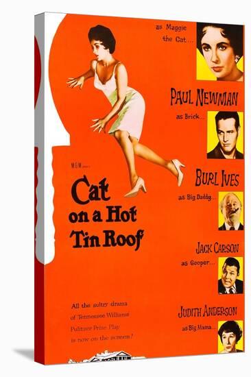 Cat on a Hot Tin Roof-null-Stretched Canvas