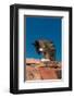 Cat On A Roof-null-Framed Art Print