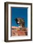 Cat On A Roof-null-Framed Art Print