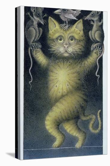 Cat on a Tightrope, Balancing with Bird and Mice-Wayne Anderson-Stretched Canvas