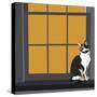 Cat on a Window Sill I-Emily Kalina-Stretched Canvas