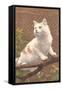Cat on Branch-null-Framed Stretched Canvas