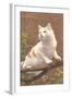 Cat on Branch-null-Framed Art Print