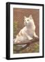 Cat on Branch-null-Framed Art Print