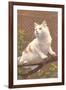 Cat on Branch-null-Framed Art Print