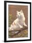 Cat on Branch-null-Framed Art Print