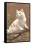 Cat on Branch-null-Framed Stretched Canvas