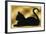 Cat on Gold Background-Art Deco Designs-Framed Giclee Print