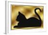 Cat on Gold Background-Art Deco Designs-Framed Giclee Print