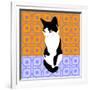 Cat On Morrocan Tiles-Claire Huntley-Framed Giclee Print