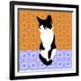 Cat On Morrocan Tiles-Claire Huntley-Framed Giclee Print