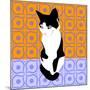 Cat On Morrocan Tiles-Claire Huntley-Mounted Giclee Print