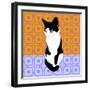 Cat On Morrocan Tiles-Claire Huntley-Framed Giclee Print