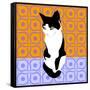 Cat On Morrocan Tiles-Claire Huntley-Framed Stretched Canvas