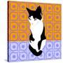 Cat On Morrocan Tiles-Claire Huntley-Stretched Canvas