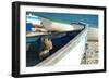 Cat on Old Boat Looking towards to the Sea-PavelGR-Framed Photographic Print