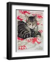 Cat on Quilt-Anne Robinson-Framed Giclee Print