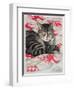 Cat on Quilt-Anne Robinson-Framed Giclee Print