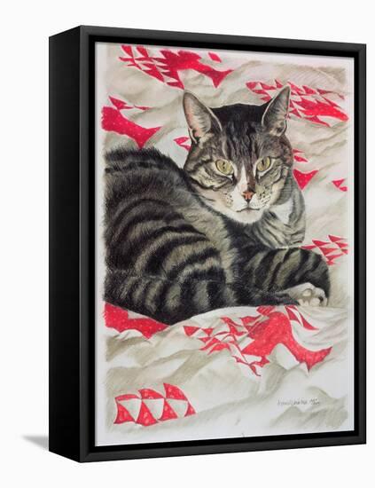 Cat on Quilt-Anne Robinson-Framed Stretched Canvas