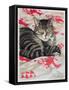 Cat on Quilt-Anne Robinson-Framed Stretched Canvas