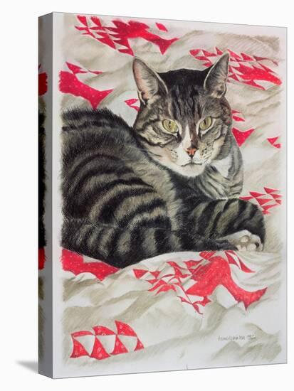 Cat on Quilt-Anne Robinson-Stretched Canvas