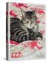 Cat on Quilt-Anne Robinson-Stretched Canvas