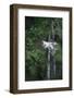 Cat on terrace-Nadja Jacke-Framed Photographic Print