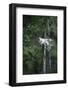 Cat on terrace-Nadja Jacke-Framed Photographic Print