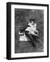 Cat on the Scales-J. Chettlburgh-Framed Photographic Print