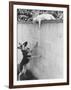 Cat Owned by Olympic Track Star Harold Connolly, on Wall Hissing at Police German Shepherd-Bill Eppridge-Framed Photographic Print