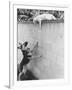 Cat Owned by Olympic Track Star Harold Connolly, on Wall Hissing at Police German Shepherd-Bill Eppridge-Framed Photographic Print