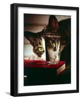 Cat Peering Into Glass Reflects Its Image in Reverse, Creating Perfect Example of Light Refraction-Nina Leen-Framed Photographic Print