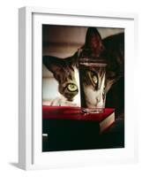 Cat Peering Into Glass Reflects Its Image in Reverse, Creating Perfect Example of Light Refraction-Nina Leen-Framed Photographic Print