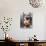 Cat People-null-Photo displayed on a wall