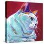 Cat - Pixie Girl-Dawgart-Stretched Canvas