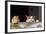 Cat Playing with Little Gerbil Mouse on the Table-Sergey Zaykov-Framed Photographic Print