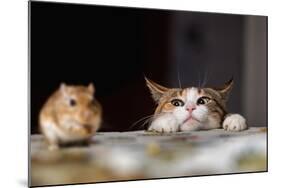 Cat Playing with Little Gerbil Mouse on the Table-Sergey Zaykov-Mounted Photographic Print