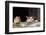 Cat Playing with Little Gerbil Mouse on the Table-Sergey Zaykov-Framed Photographic Print