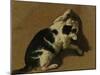 Cat Playing-Adriaen van de Velde-Mounted Giclee Print