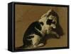 Cat Playing-Adriaen van de Velde-Framed Stretched Canvas