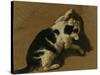 Cat Playing-Adriaen van de Velde-Stretched Canvas