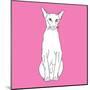 Cat Pointy Ears-Anna Nyberg-Mounted Art Print