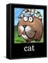 Cat Poster-Tim Nyberg-Framed Stretched Canvas