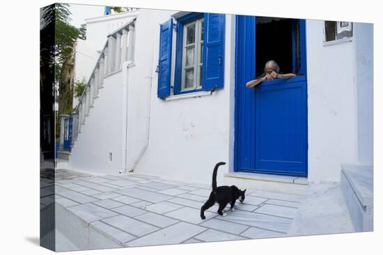 Cat, Pyrgos Village, Tinos, Cyclades, Greek Islands, Greece, Europe-Tuul-Stretched Canvas