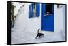 Cat, Pyrgos Village, Tinos, Cyclades, Greek Islands, Greece, Europe-Tuul-Framed Stretched Canvas