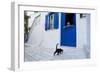 Cat, Pyrgos Village, Tinos, Cyclades, Greek Islands, Greece, Europe-Tuul-Framed Photographic Print