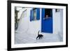 Cat, Pyrgos Village, Tinos, Cyclades, Greek Islands, Greece, Europe-Tuul-Framed Photographic Print